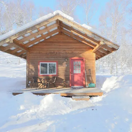 Spruce Cabin Talkeetna Exterior photo