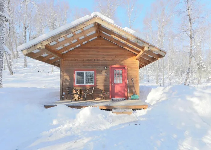 Spruce Cabin