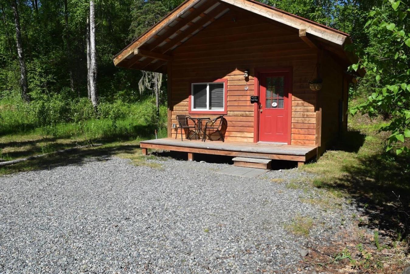 Spruce Talkeetna